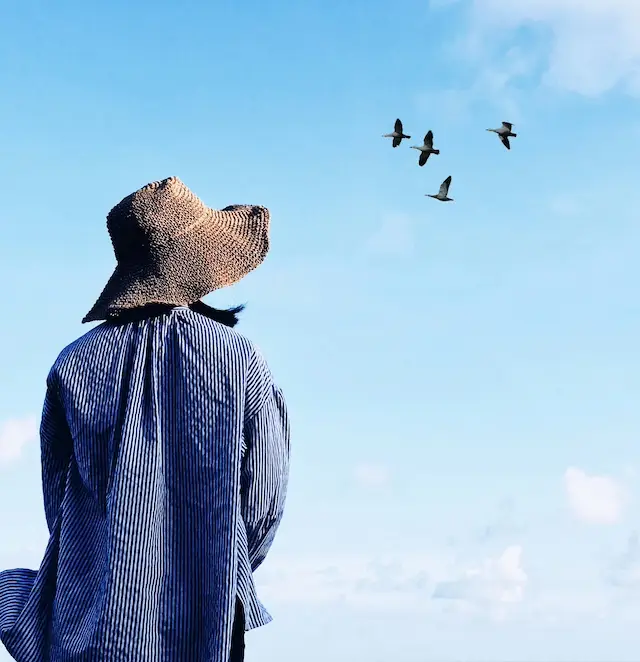 Das Bild zeigt eine Frau, deren Rücken dem Betrachter zugewandt ist. Sie steht auf einem Hügel oder einer Anhöhe und blickt in die Ferne. Die Landschaft vor ihr ist weitläufig und symbolisiert die Zukunft. Die Frau strahlt Ruhe und Entschlossenheit aus. Ihre Haltung vermittelt den Eindruck von Zuversicht und Vorfreude auf das, was vor ihr liegt. Das Bild soll die Idee von finanzieller Freiheit und einem frühen Ruhestand vermitteln, indem es die Perspektive einer Person zeigt, die ihre Ziele erreicht hat und nun die Früchte ihrer Arbeit genießt.